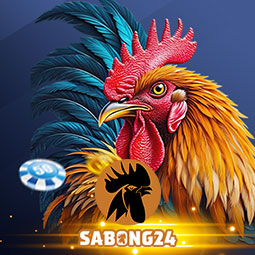 SB24CF