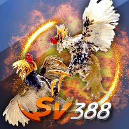 SV388