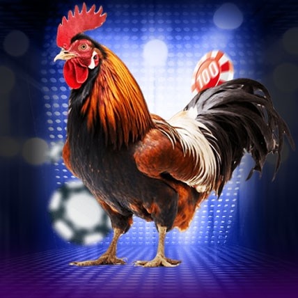 ជល់មាន់ SV388