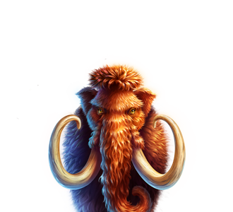 platipus